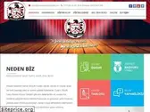ankaraakademisanat.com