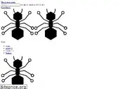 antfarm.co.zw