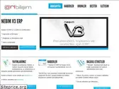 aribilisim.com.tr