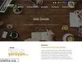 atasevermedia.com