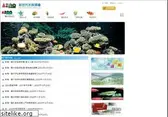 azoo.com.tw