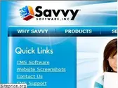 besavvy.com