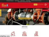 biegplumbing.com