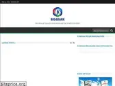 big4bank.com