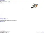 bigwinreview.com