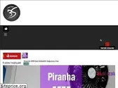 bilgisebili.com
