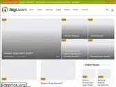 bilgiustam.com