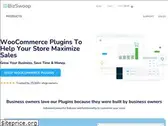 bizswoop.com