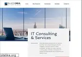 blackseasystems.com