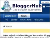 bloggerhub.com