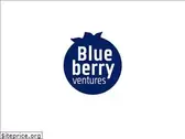 blueberryventures.vc