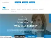bluecloudusa.com