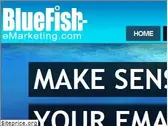 bluefish-emarketing.com