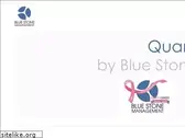 bluestonemanagement.com