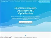 bluestout.com