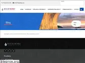 bolsuboru.com