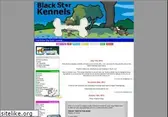 bskgame.com