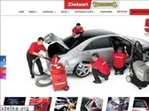 carsavers.com