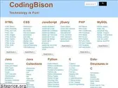 codingbison.com