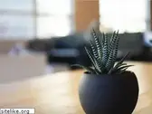 coinboom.com