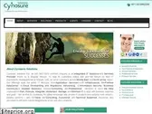 cynosure-solutions.com