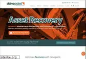 delvepoint.com
