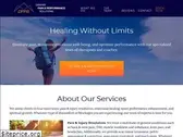 denverpainandperformance.com