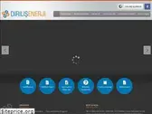 dirilisenerji.com