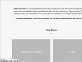 divideandculture.com