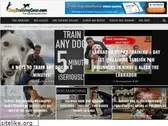 dogtraininggear.com