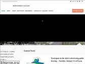 downtownvallejo.com