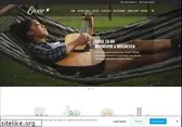 elixirstrings.com