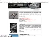 elmor.ru