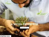 enable.ae