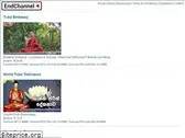 endchannel.com