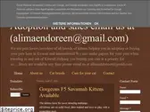 endoreencatsandkittens.blogspot.com