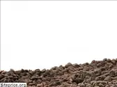 enormouscreative.com