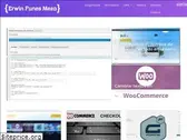 erwinfunes.com