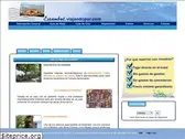 estambul.viajandopor.com