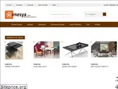 evnesya.com