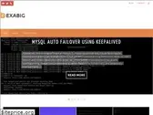 exabig.com