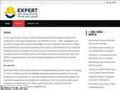 expertlaborsupply.com