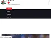 feyenoordpings.nl