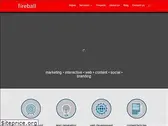 fireballmarketing.com