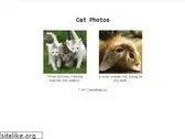 freecatphotoapp.com