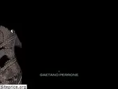 gaetanoperrone.com