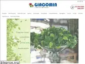 giacomin.net.br