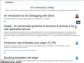 golangflow.io
