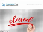 goodwintek.com