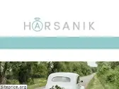 harsanik.com
